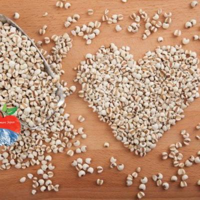 Sữa Rửa Mặt Trắng Da Ý Dĩ Hatomugi 130g Nhật Bản